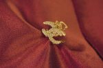 The Celestial Lumina Star Clip