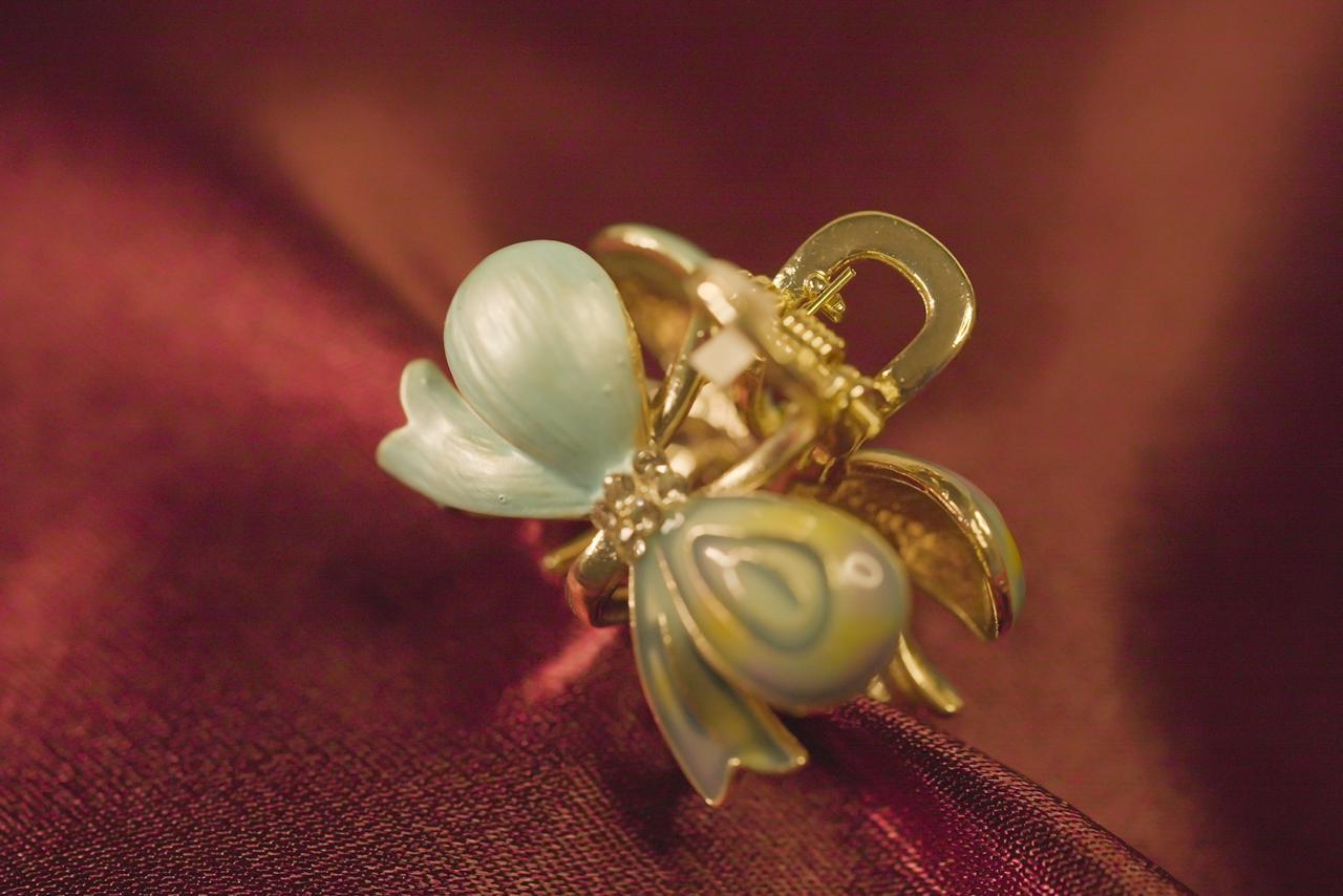 WhatsApp Image 2026-01-04 at 3.57.43 PM (2) The Flora Crystal Bloom Clip - Image 1