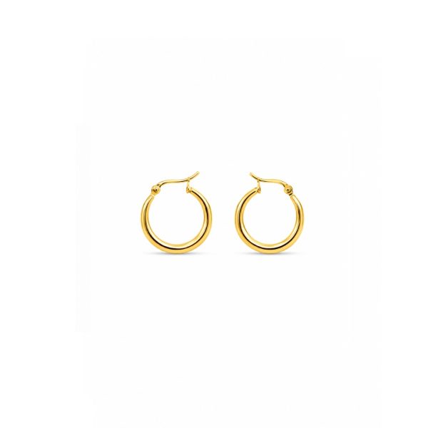 Classic Gold Hoop Earrings