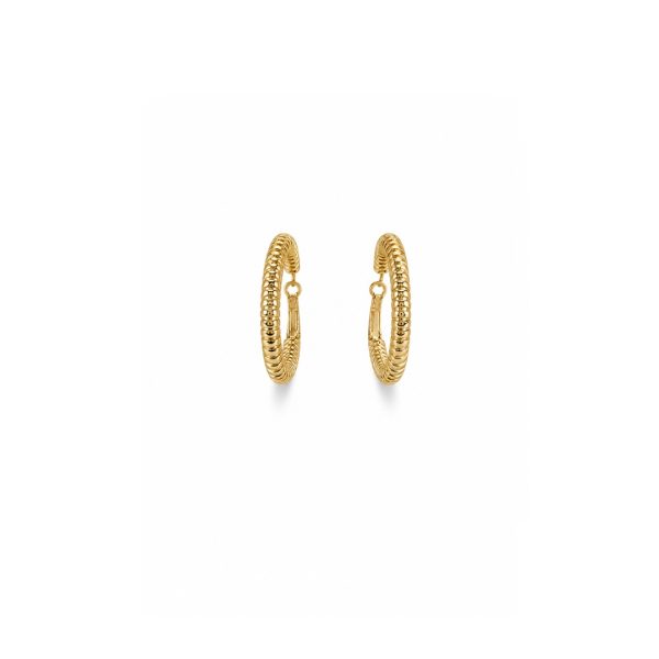 Golden Ribbed Hoop Earrings